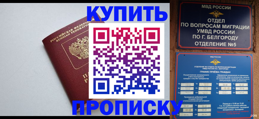 прописка регистрация в Курчалом